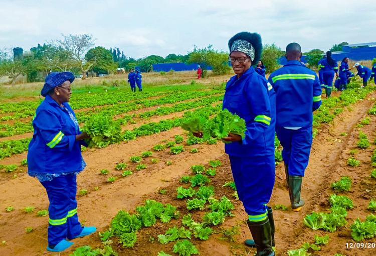 Autossustentabilidade: A gestão das iniciativas locais