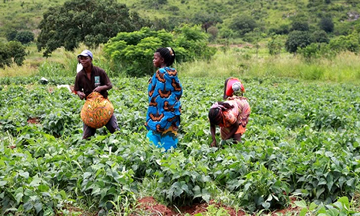 PROJECTOS PARA PEQUENAS COMUNIDADES RURAIS