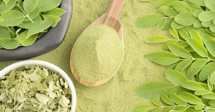 RECEITA: FOLHAS FRESCAS DE MORINGA
